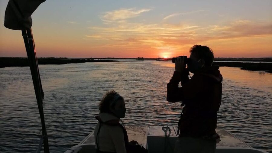 From Faro: Ria Formosa Sunset Boat Trip - Sunset Viewing Tips That Improve Your Photos and Your Mood