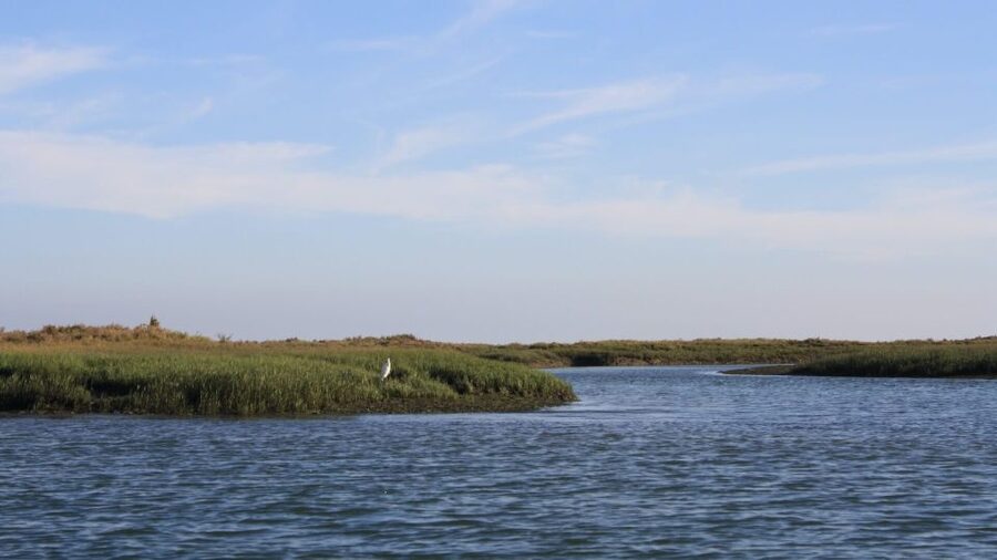 From Faro: Ria Formosa Sunset Boat Trip - Live Guide Commentary in Multiple Languages, and Why It Matters