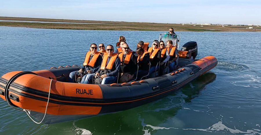 From Faro: Wildlife and Dolphin-Watching Speedboat Tour - Dolphin-Watching in the Marked Zones: X648+C4 and V5P4+XH