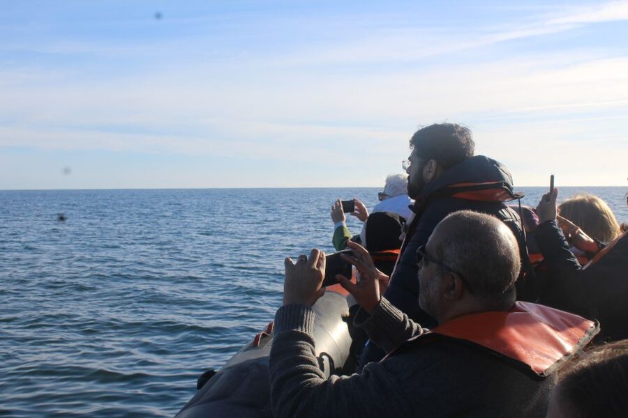 From Faro: Wildlife and Dolphin-Watching Speedboat Tour - The First 30 Minutes: Speedboat to the Ria Formosa Natural Park