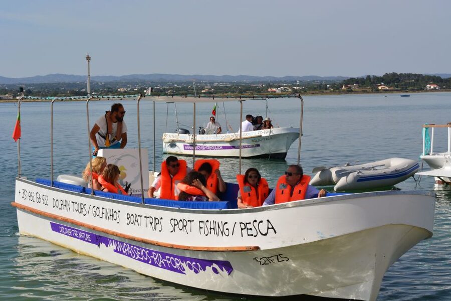 From Fuzeta: 2-Hour Southeast Ria Formosa Boat Trip - Birdwatching in the Ria Formosa Natural Park, What You Will See