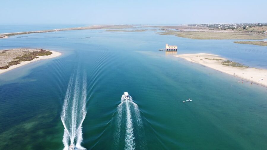 From Fuzeta: 2-Hour Southeast Ria Formosa Boat Trip - How the Oyster and Lamb Farm Stop Connects Wildlife to Local Life