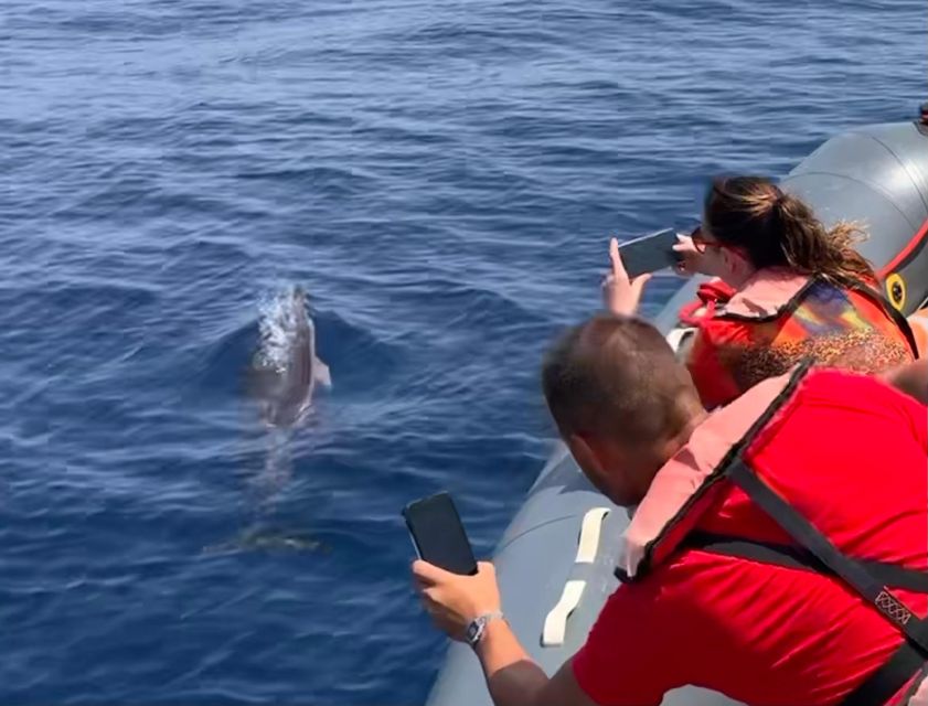 From Lagoa: Dolphins & Ponta da Piedade with biologist guide - Why the dolphins plus Ponta da Piedade combo feels efficient