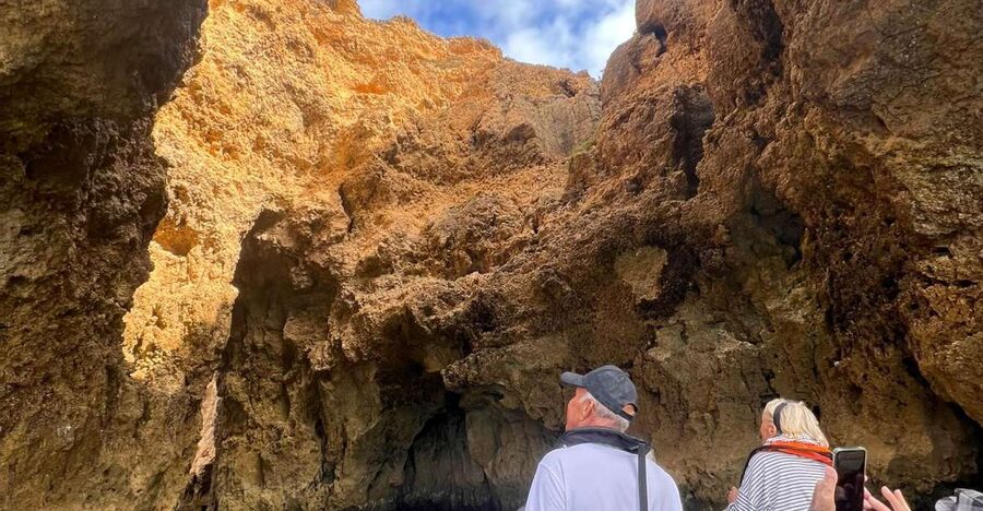 From Lagoa: Dolphins & Ponta da Piedade with biologist guide - Ponta da Piedade and Lagos coastline: cliffs, rock shapes, and the lighthouse area