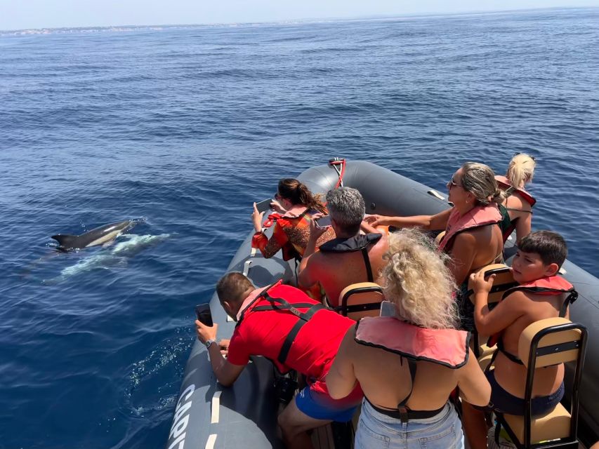 From Lagoa: Dolphins & Ponta da Piedade with biologist guide - Who this tour is best for (and who should choose something else)