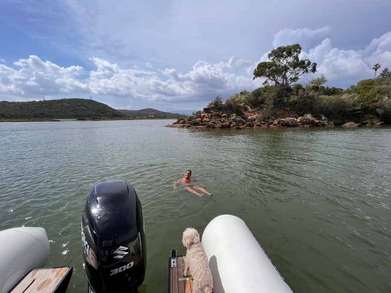 From Lagoa: Visit Silves Town by Boat with Hop Off & Hop On - Birdwatching on the Arade estuary, what you might spot