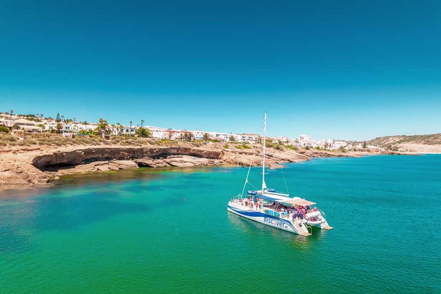 From Lagos: Algarve Cruise by Catamaran - The anchored swim stop, paddle boards, inflatable balance track, and sunbathing nets