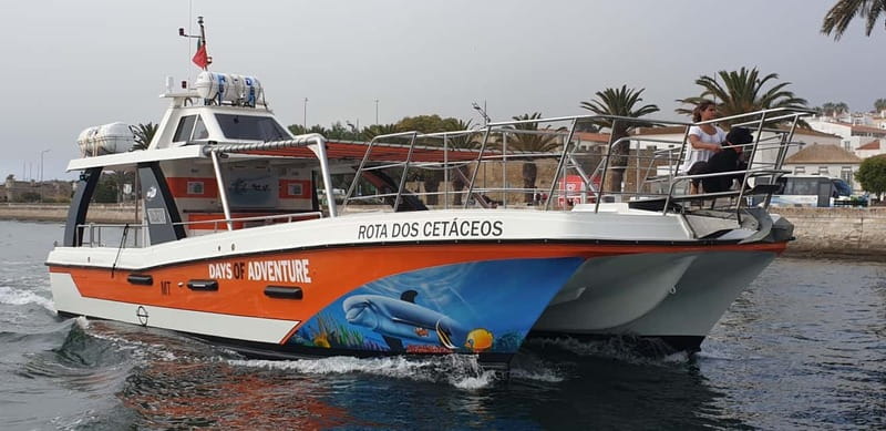 From Lagos: Benagil Caves Catamaran Cruise - The Swim Stop Near Benagil: What You Can Expect in Real Conditions