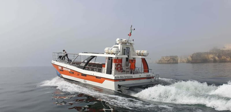 From Lagos: Benagil Caves Catamaran Cruise - Price Value: Is $38 a Good Deal?