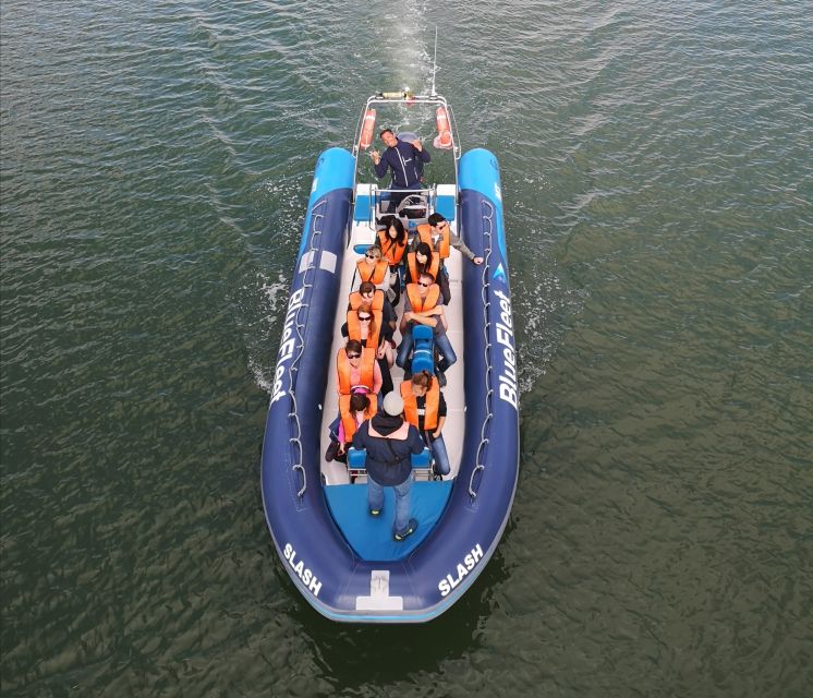 From Lagos: Dolphin Watching Boat Trip w/Marine Biologists - Who should go on this Algarve dolphin watching tour