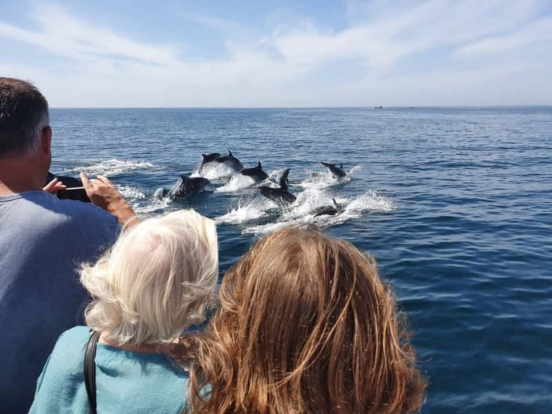 From Lagos: Dolphin Watching Catamaran Cruise - Route Changes by Tide and Sea Conditions (Why That’s a Good Thing)