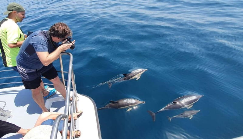 From Lagos: Dolphin Watching Catamaran Cruise - Photo Tips That Match the Actual Boat Setup