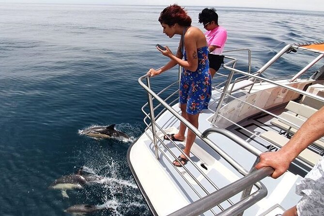 From Lagos: Dolphin Watching Cruise on a Catamaran - Crew commentary, Captain Steve, and how to get the most from the narration