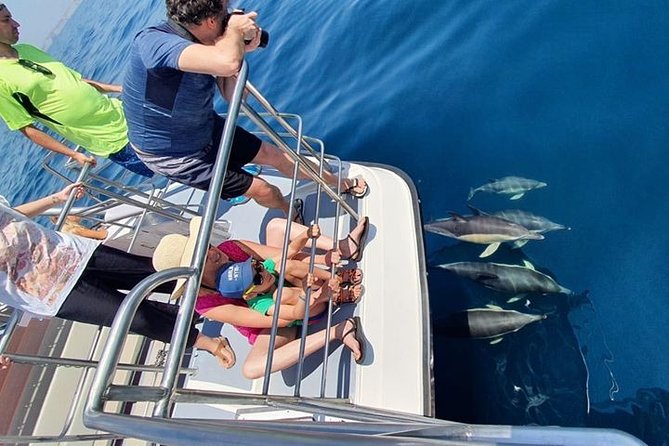From Lagos: Dolphin Watching Cruise on a Catamaran - When sea conditions turn rough, how to stay comfortable