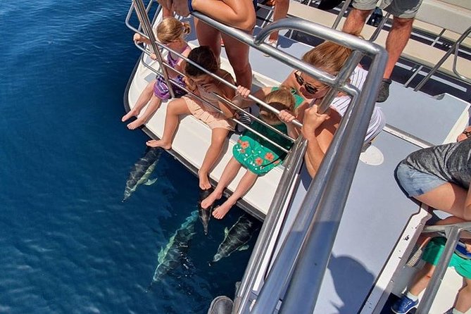 From Lagos: Dolphin Watching Cruise on a Catamaran - Who should book this cruise, and who might skip it