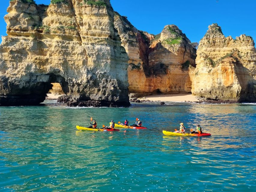 From Lagos: Kayak Experience in Ponta da Piedade - Key Highlights You’ll Care About