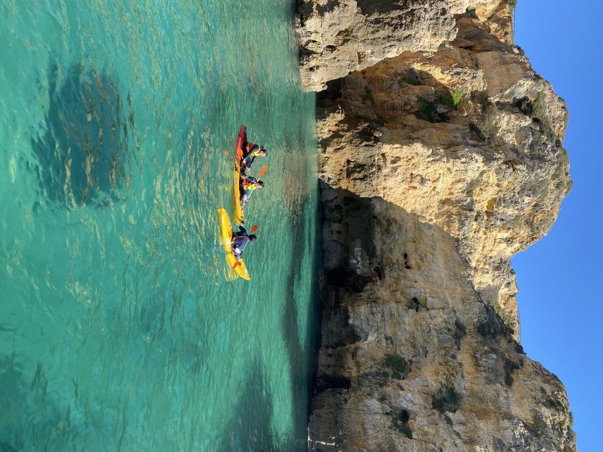 From Lagos: Kayak Experience in Ponta da Piedade - Boat Breaks, Swimming, and the Comfort Factor That Matters