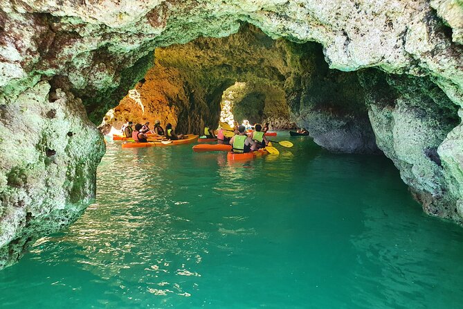 From Lagos: Kayak Tour of Ponta da Piedade Caves on Catamaran - Price and value: what about $48.37 buys you