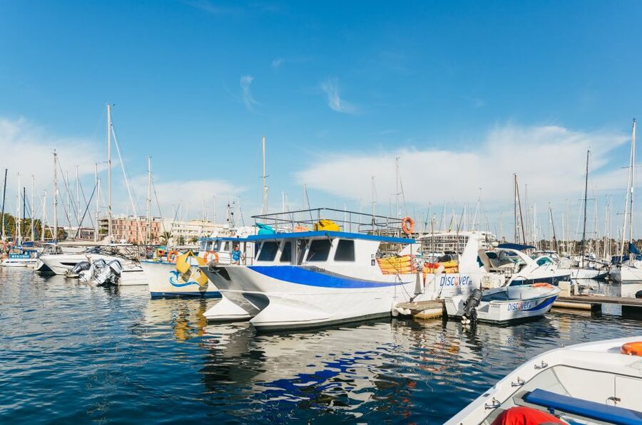 From Lagos: Kayaking and Boat Cave Explorer Tour - Logistics That Matter Only Because They Save Time