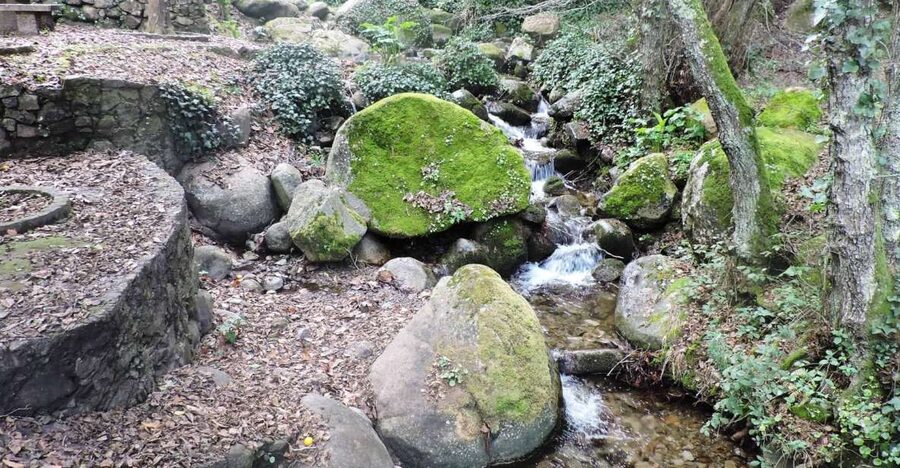 From Lagos: Monchique Private Guided Hike + Medronho Tasting - The creek break, and how to keep the day comfortable