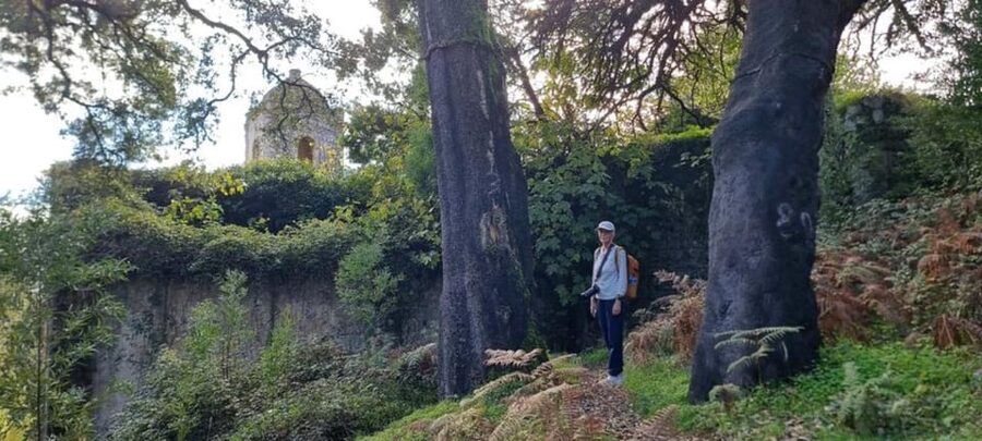 From Lagos: Monchique Private Guided Hike + Medronho Tasting - Should you book Monchique Private Guided Hike plus Medronho tasting?