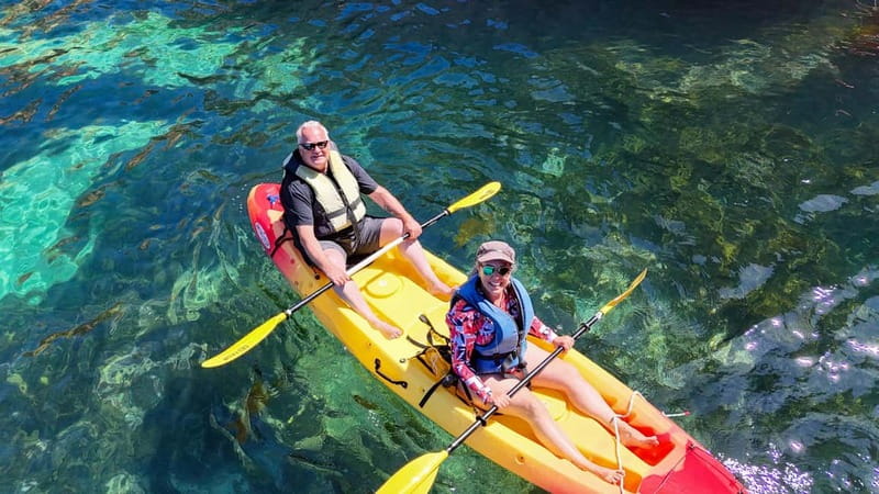 From Lagos: Ponta da Piedade Caves Kayak Tour from Catamaran - Key highlights to know before you go