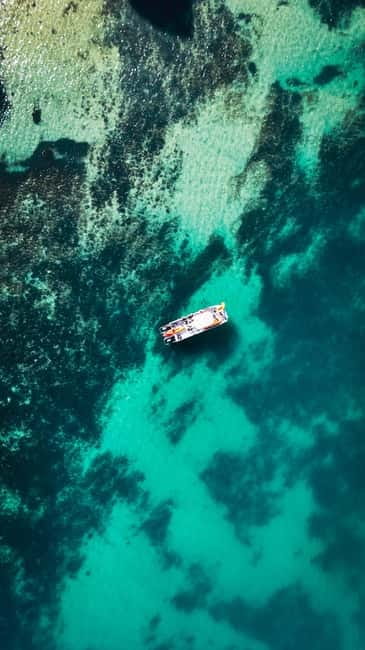 From Lagos: Ponta da Piedade Caves Kayak Tour from Catamaran - Ponta da Piedade caves are a show, especially from the water