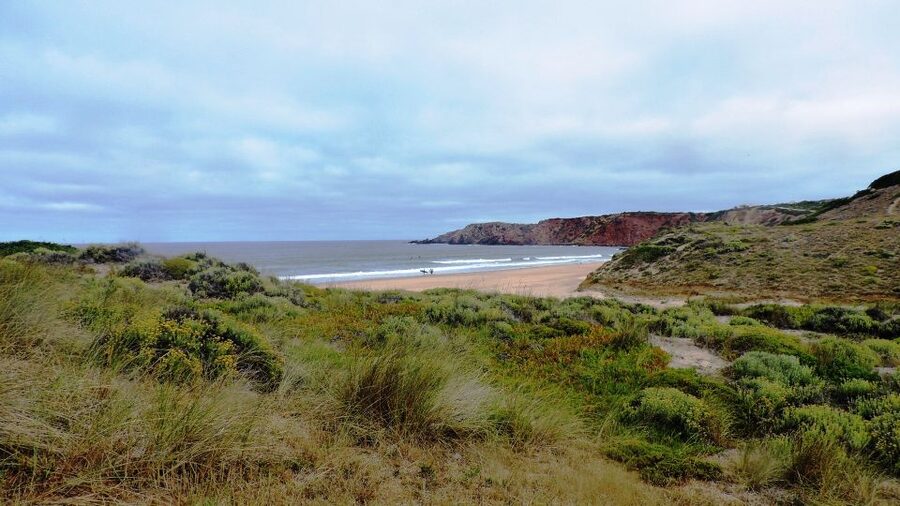 From Lagos: Private Guided Hike along the Vicentina Coast - Pickup and the 45 Minute Ride to Praia do Amado