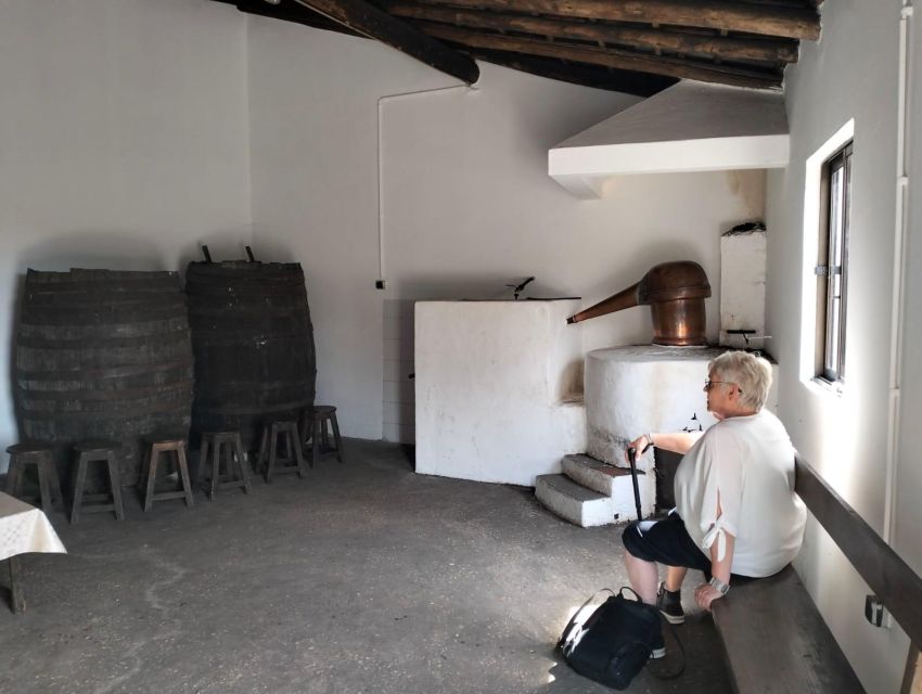 From Lagos: Private Tour with Medronho Tasting - Key things to know before you go