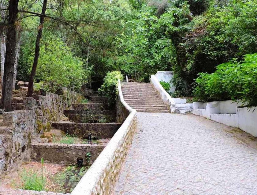 From Lagos: Private Tour with Medronho Tasting - Caldas de Monchique: spring water, Romans, and a gentle walk