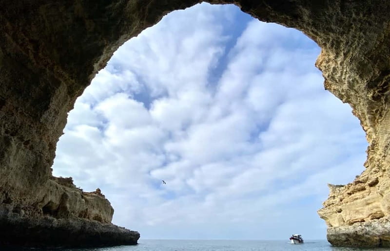 From Lagos: Scenic Cruise to the Benagil and Carvoeiro Caves - Price and value, what you get for about $45