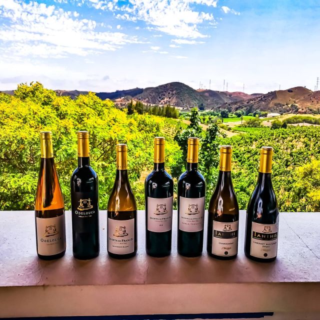 From Lagos: Small-Group 4-Hour Wine Tasting Tour - Key Points You’ll Care About