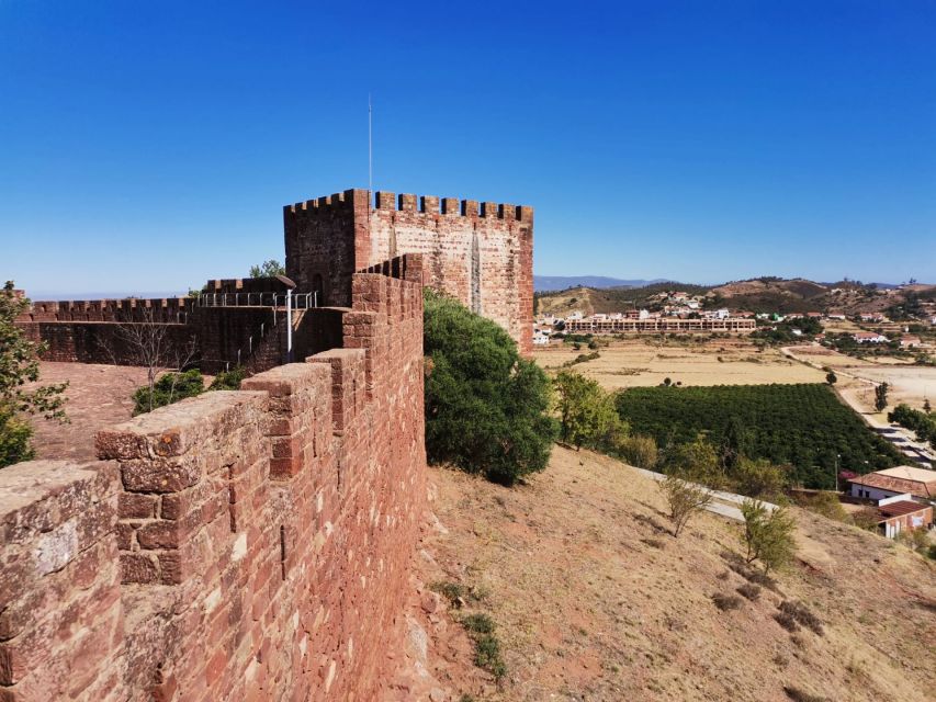 From Lagos: Small-Group 4-Hour Wine Tasting Tour - Taste 3 Algarve Wines With Tapas: What the Pairing Actually Does