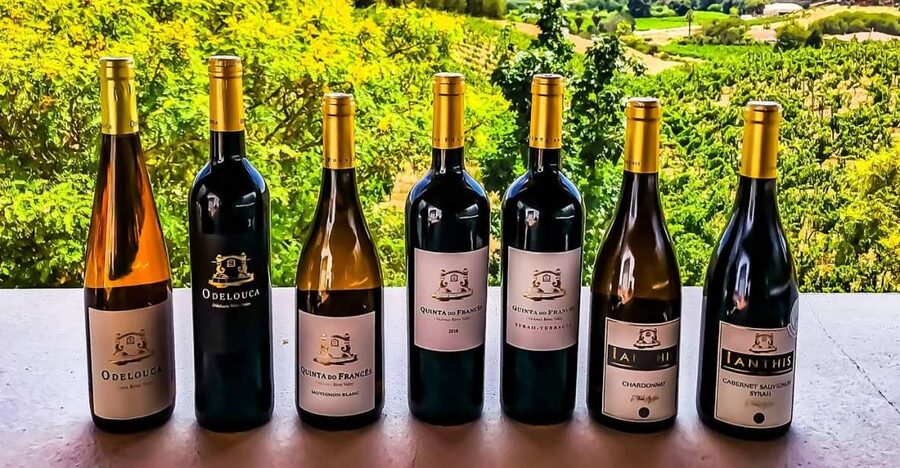 From Lagos: Small-Group 4-Hour Wine Tasting Tour - Lagos Pickup and the Scenic Ride Into the Algarve