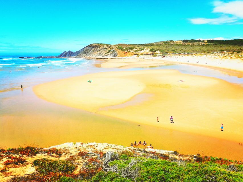 From Lagos: Wild and Wonderful West Coast Full-Day Tour - Key things that make this tour worth your time
