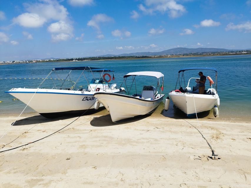 From Olhão: Ria Formosa 3-Island Full-Day Tour with Sunset - Low Tide in the Ria Formosa: Clams, oysters, and why it matters