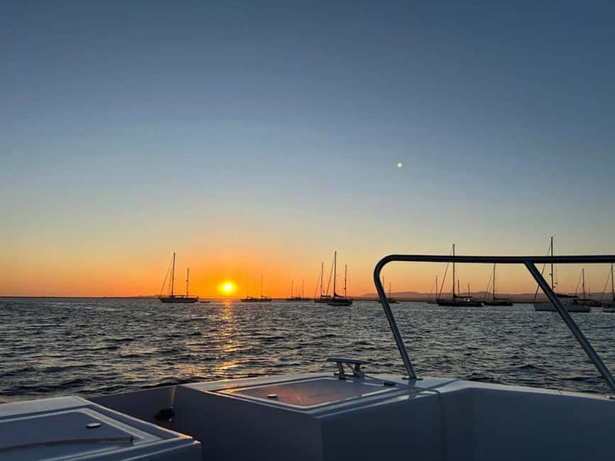 From Olhão: Ria Formosa Sunset Island Tour - Armona and Praia Deserta: your first taste of island life