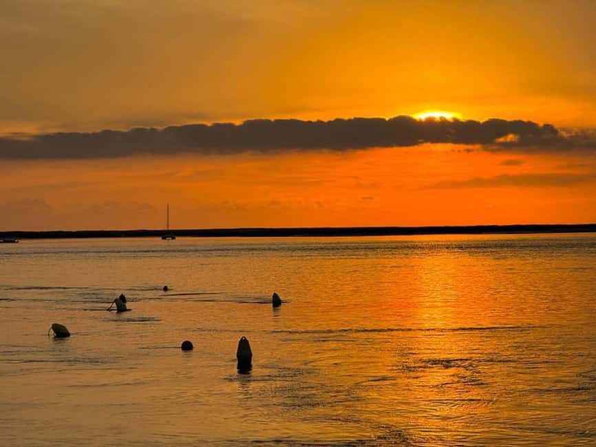 From Olhão: Ria Formosa Sunset Island Tour - Culatra Island at sunset: why this final stop matters