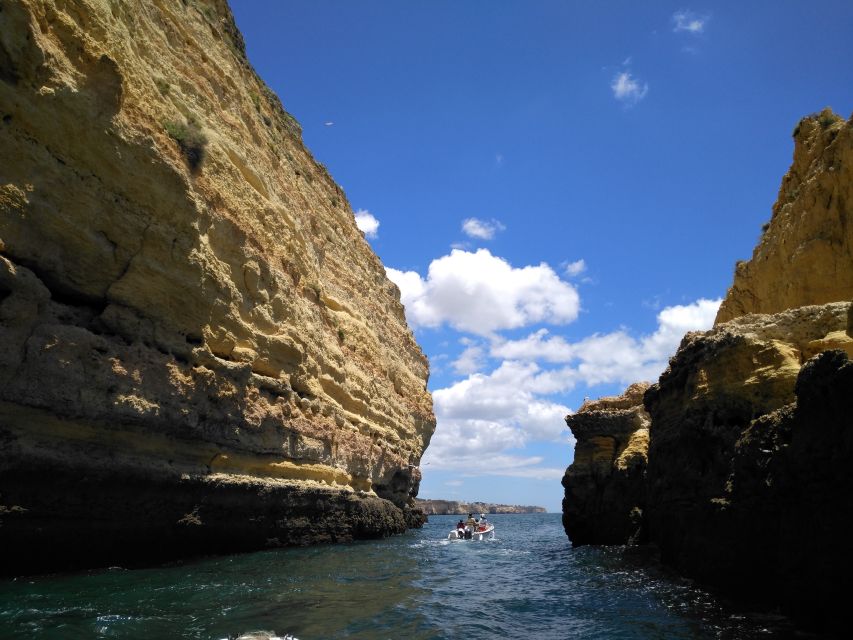 From Portimão: Benagil Caves Guided Speedboat Tour - Comfort, Safety, and Who Should Rethink This Tour
