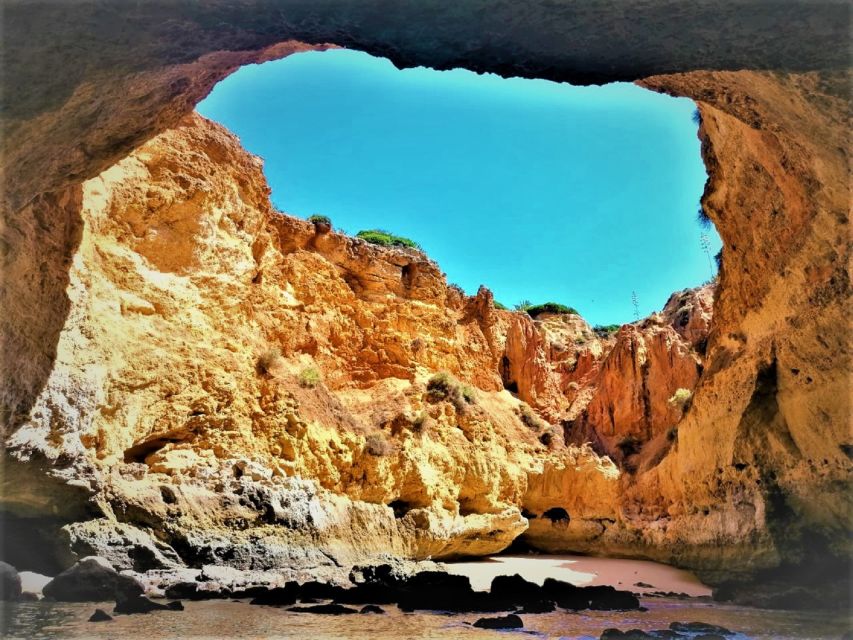 From Portimão: Private Boat Tour to Benagil Cave - Price and Value: What $239 Per Group Really Buys