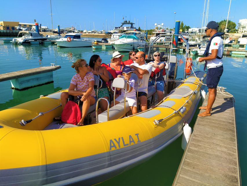 From Vilamoura: 2.5-Hour Benagil Cave and Dolphins Boat Tour - Dolphins in the Algarve: How the Search Usually Plays Out