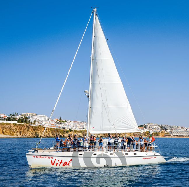 From Vilamoura: Sunset Catamaran Experience - Swimming Stops, Dolphins, and the Weather Reality Check