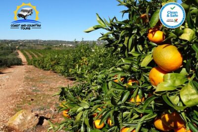 Full day tour of the Algarve with Jeep safari