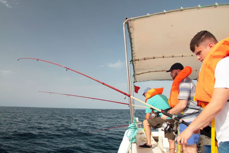 Fuzeta: 2.5-Hour Sport Fishing Tour - The Real Appeal of Sport Fishing From Fuzeta