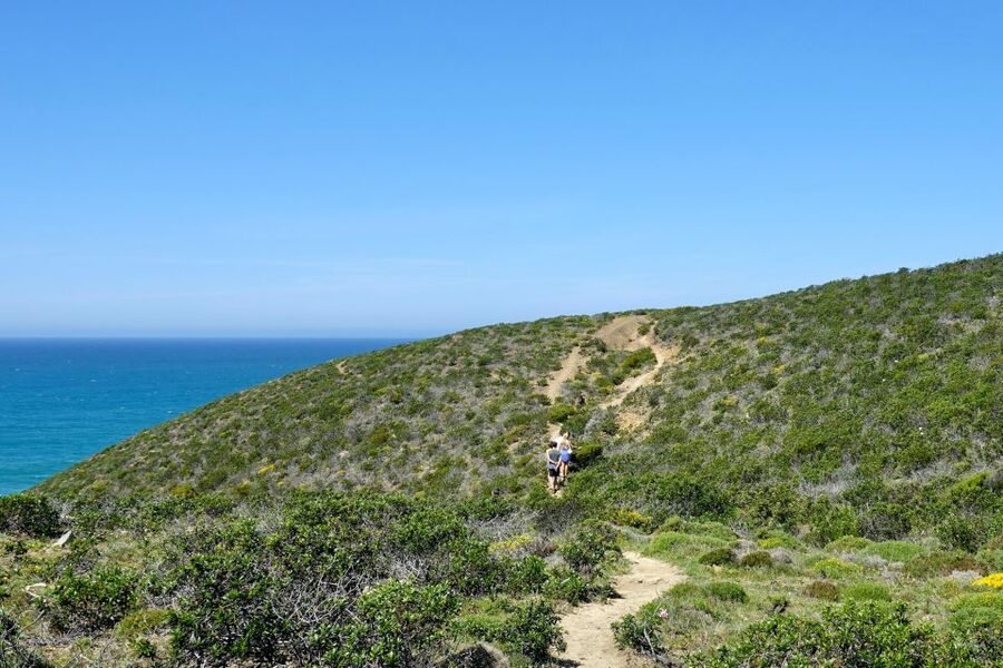 Guided Walk+Picnic: Western Algarve´s Wild Beauty - Arrifana to Monte Clérigo: why this half-day feels like a real Portugal day