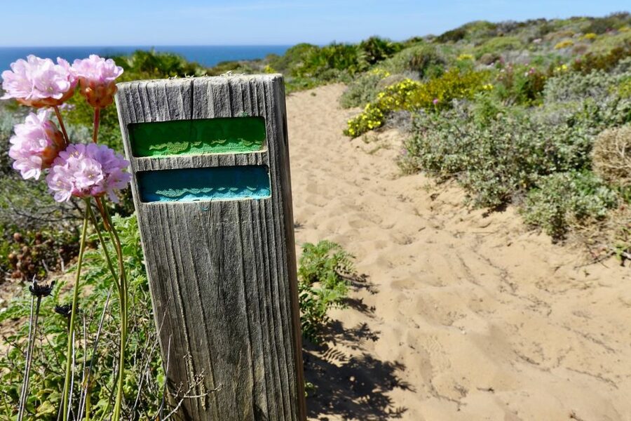 Guided Walk+Picnic: Western Algarve´s Wild Beauty - Photos, pace, and why the guide makes such a difference