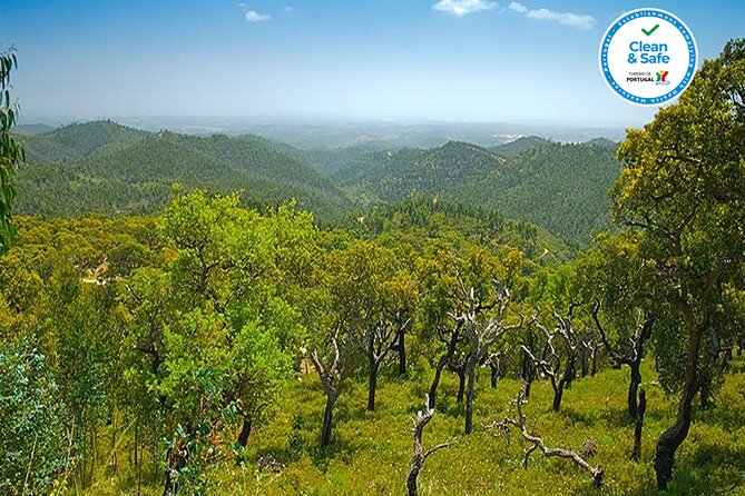 Half Day Historical Tour to Silves and Monchique - Who this tour suits best, and who should skip it