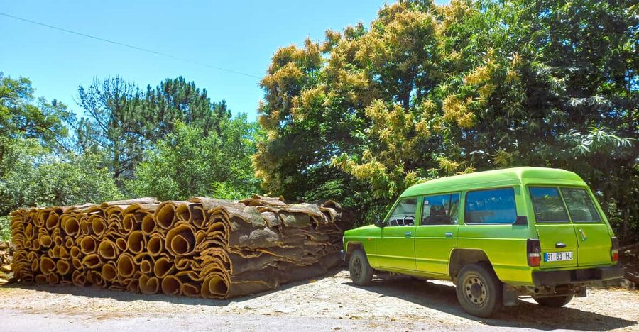 Half-Day Mountain Jeep Safari with firewater tasting - A half-day Algarve jeep safari that mixes views with local flavors