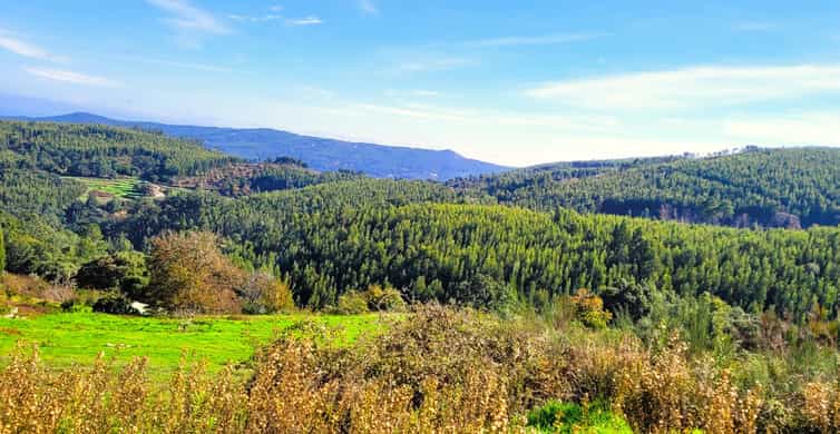 Half-Day Mountain Jeep Safari with firewater tasting - Fóia viewpoint time at 902 meters: short but memorable
