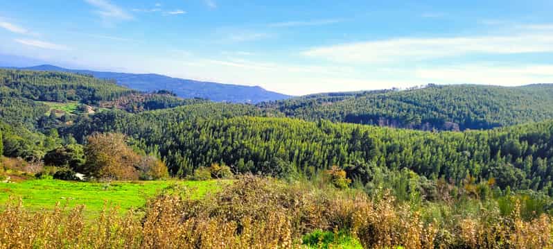 Half-Day Mountain Jeep Safari with firewater tasting - Who this tour suits best in the Algarve